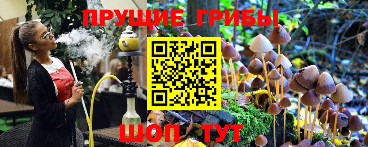 Галлюциногенные грибы Psilocybe  Вход с VPN  Псилоцибиновые грибы MAGIC MUSHROOMS  Чехов 