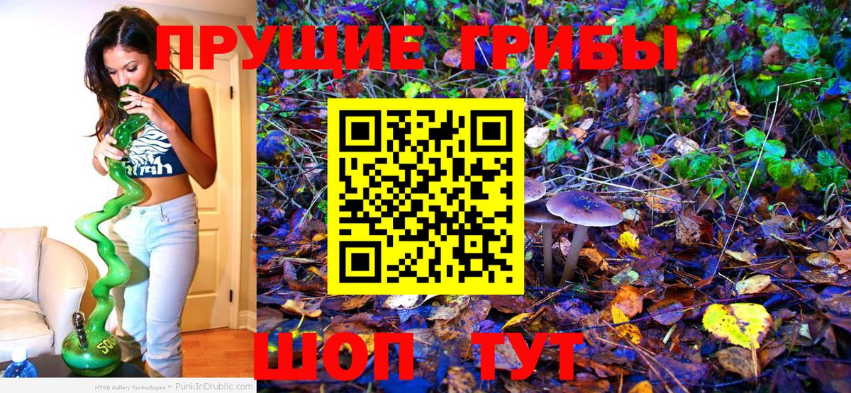 Галлюциногенные грибы прущие грибы Чехов